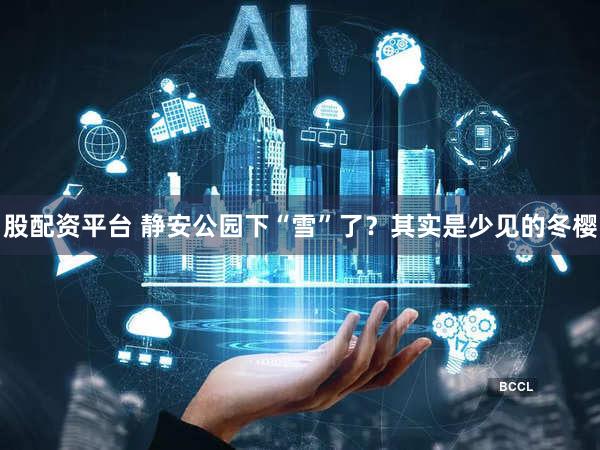 股配资平台 静安公园下“雪”了？其实是少见的冬樱