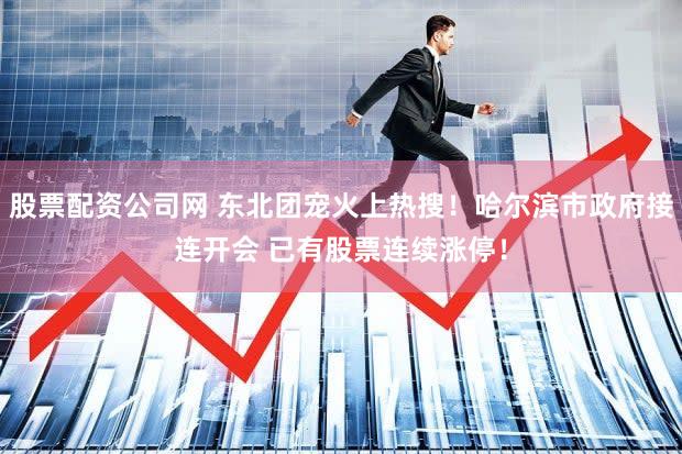 股票配资公司网 东北团宠火上热搜！哈尔滨市政府接连开会 已有股票连续涨停！