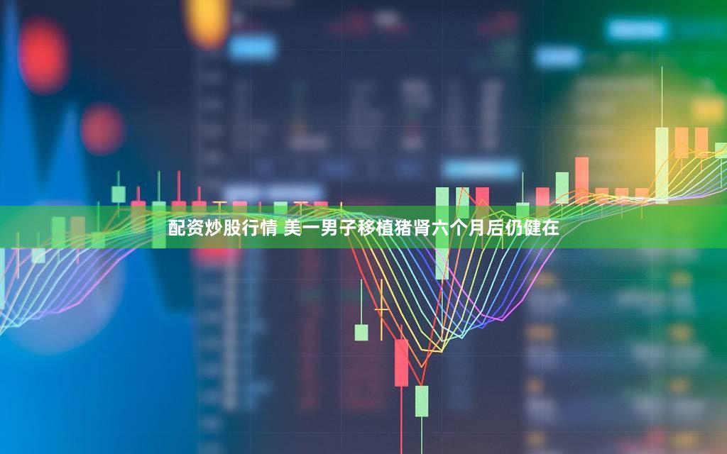 配资炒股行情 美一男子移植猪肾六个月后仍健在