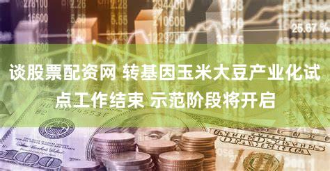 谈股票配资网 转基因玉米大豆产业化试点工作结束 示范阶段将开启