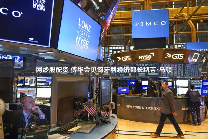 网炒股配资 傅华会见匈牙利经济部长纳吉·马顿