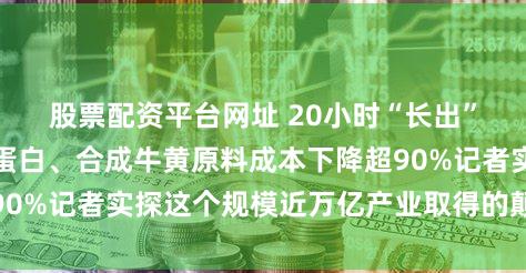 股票配资平台网址 20小时“长出”相当于一头猪的蛋白、合成牛黄原料成本下降超90%记者实探这个规模近万亿产业取得的颠覆性成果