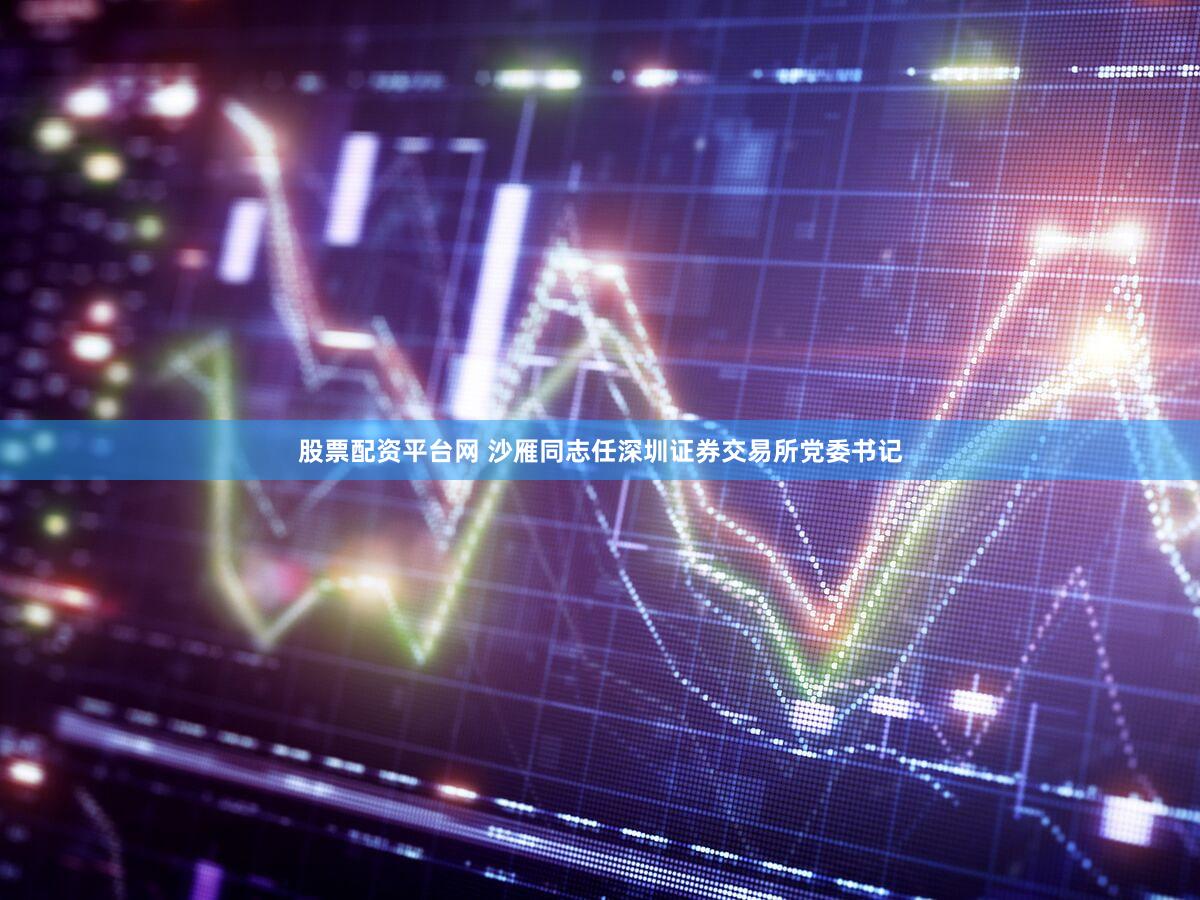 股票配资平台网 沙雁同志任深圳证券交易所党委书记