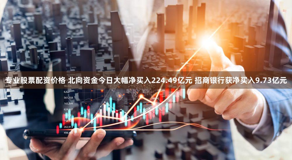 专业股票配资价格 北向资金今日大幅净买入224.49亿元 招商银行获净买入9.73亿元