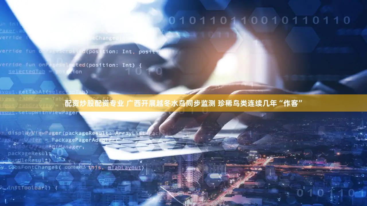 配资炒股配资专业 广西开展越冬水鸟同步监测 珍稀鸟类连续几年“作客”