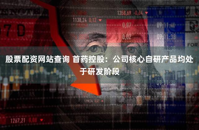 股票配资网站查询 首药控股：公司核心自研产品均处于研发阶段