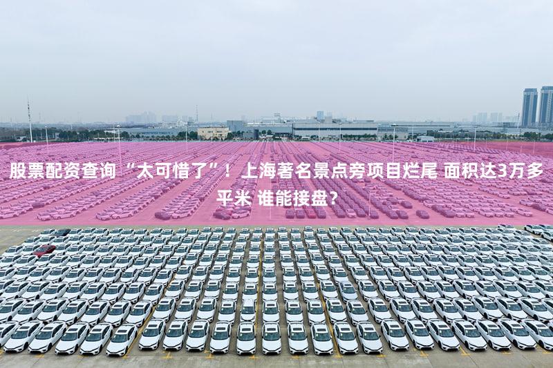 股票配资查询 “太可惜了”！上海著名景点旁项目烂尾 面积达3万多平米 谁能接盘？