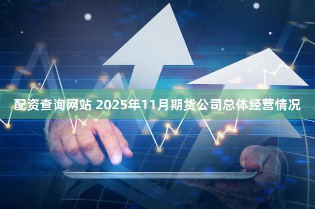 配资查询网站 2025年11月期货公司总体经营情况