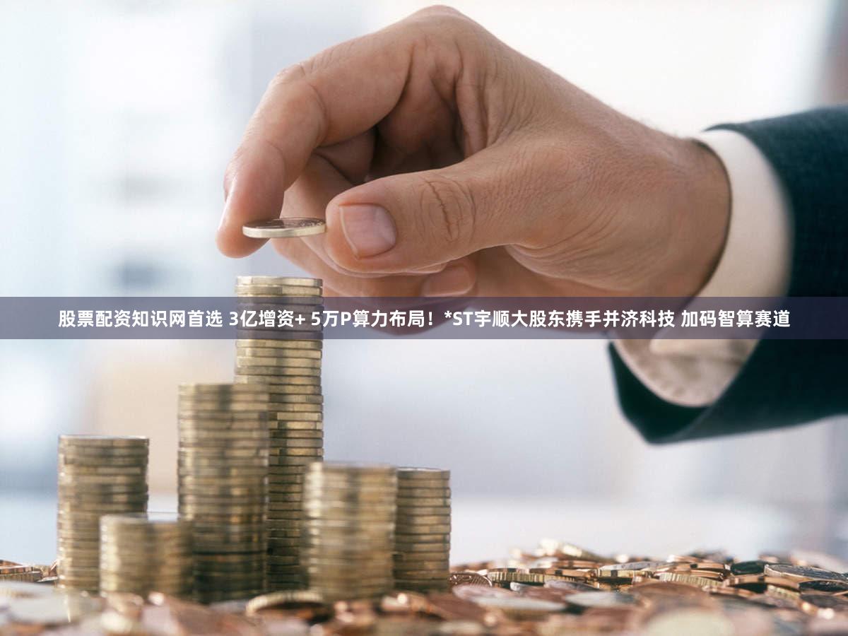 股票配资知识网首选 3亿增资+ 5万P算力布局！*ST宇顺大股东携手并济科技 加码智算赛道